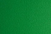 CARTULINA SADIPAL LISO/RUGOSO 50X70 VERDE | 20 UNIDADES | (SADIPAL)